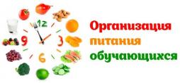 телефон горячей линии Управления образования: 8 (343-74) 7-14-06, 8 (343-74) 7 14 09.